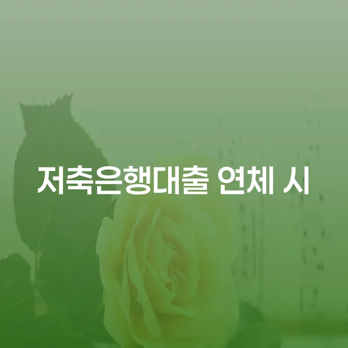 사채이자 채무조정제도을 이용하여 해결하기