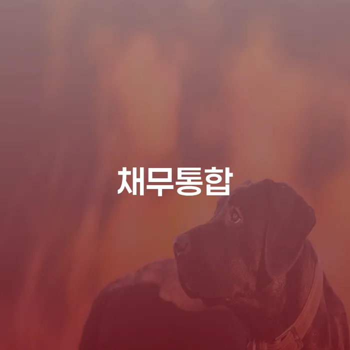 개인회생후기 연체 채무 신속해결방법 상담으로 확인하고