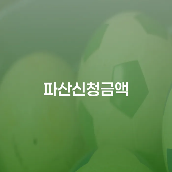 영양군 개인회생변제금 빚 합법적인 빠른방법 알아봐야 할 사항