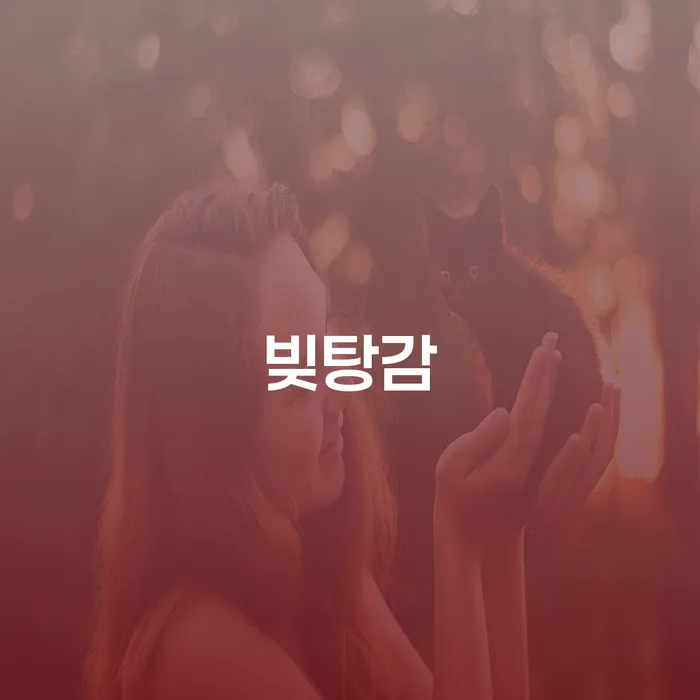 나주시 보증서대출 연체 시 개인회생 있을까요?