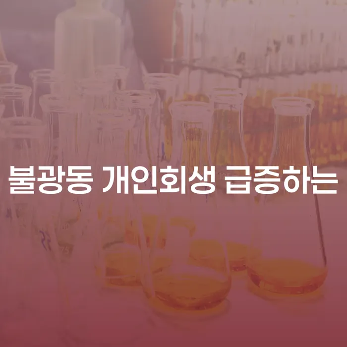 불광동 개인회생 급증하는