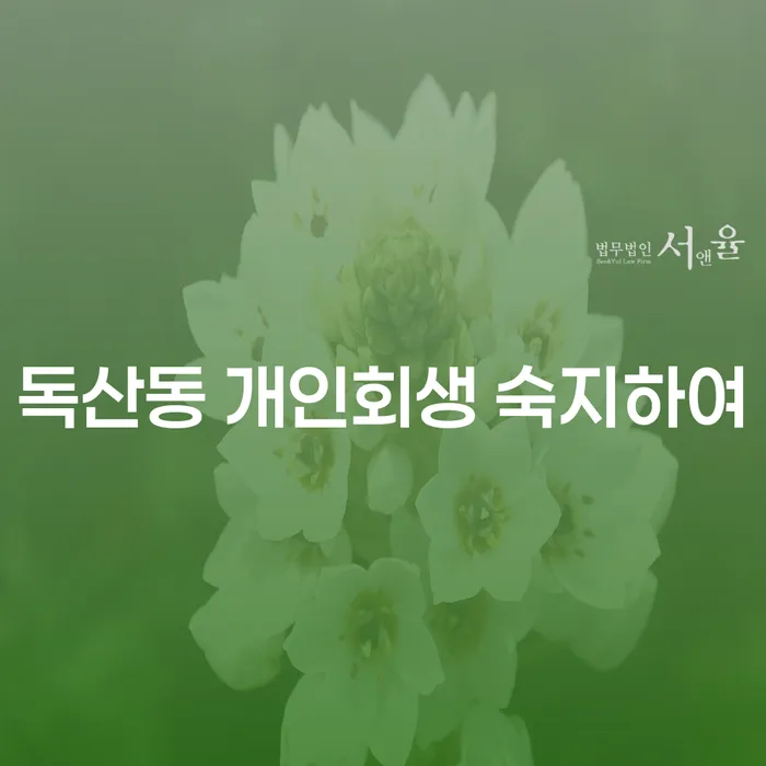 독산동 개인회생 숙지하여