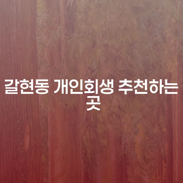 갈현동 개인회생 추천하는 곳