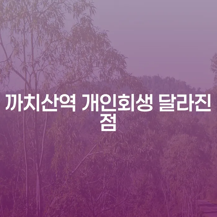 까치산역 개인회생 달라진점