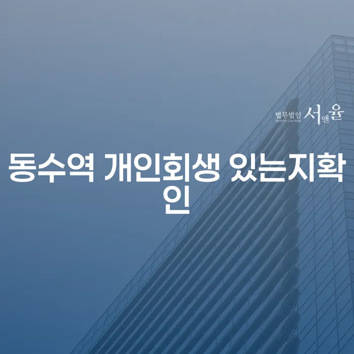 동수역 개인회생 있는지확인