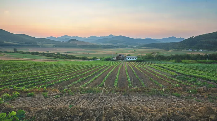 개인회생 변호사 비용 절감