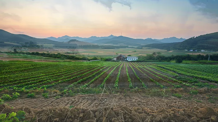 개인회생과 개인파산
