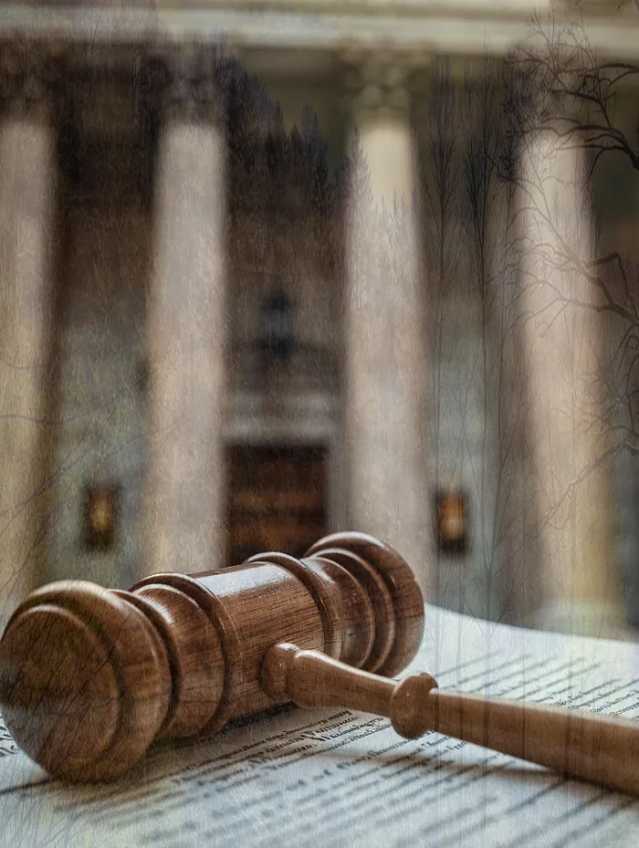 개인회생 변제금 대납 조건