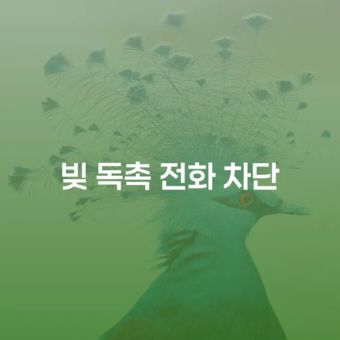 빚 독촉 전화 차단, 어떻게 해야 할까요?