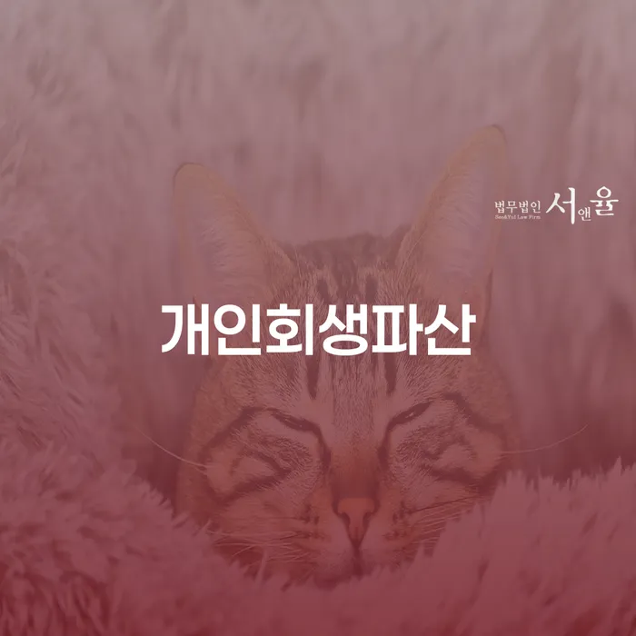 고령 개인회생 파산 신청을 통한 재정적 안정을 찾기 위한 가이드