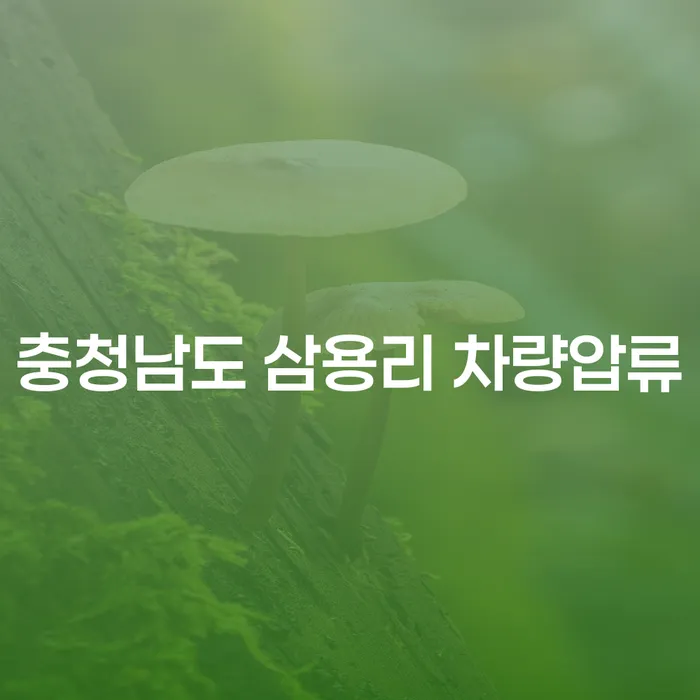 충청남도 삼용리에서 차량압류를 겪고 계신가요? 개인회생별제권으로 해결할 수 있는 방법은?