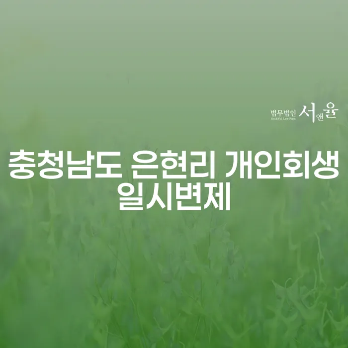 충청남도 은현리 개인회생일시변제, 어떻게 준비해야 할까요?
