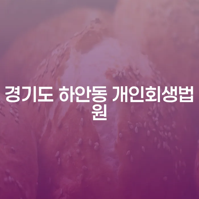 경기도 하안동 개인회생법원에서 개인회생 및 파산, 어떻게 시작해야 할까요?